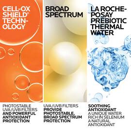 Anthelios Melt-In Milk Sunscreen SPF 60