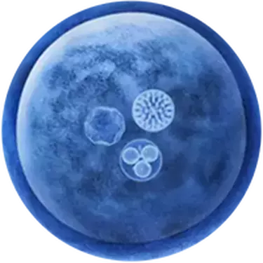 TRIBIOMA™