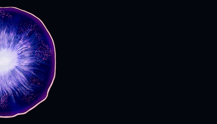 Introducing Melasyl TM